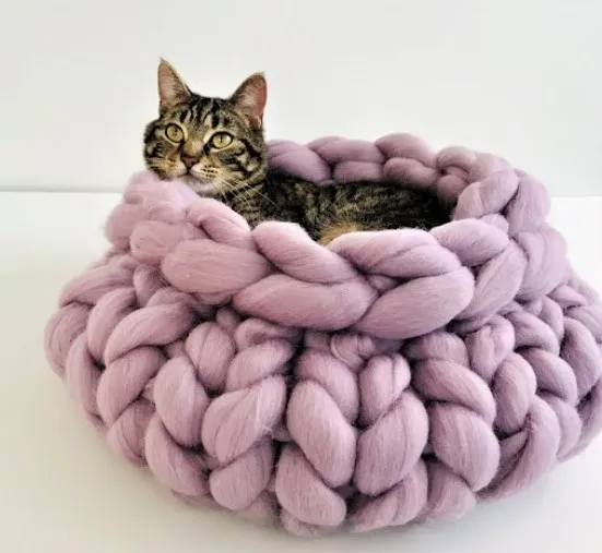Captivating Cat Bed!